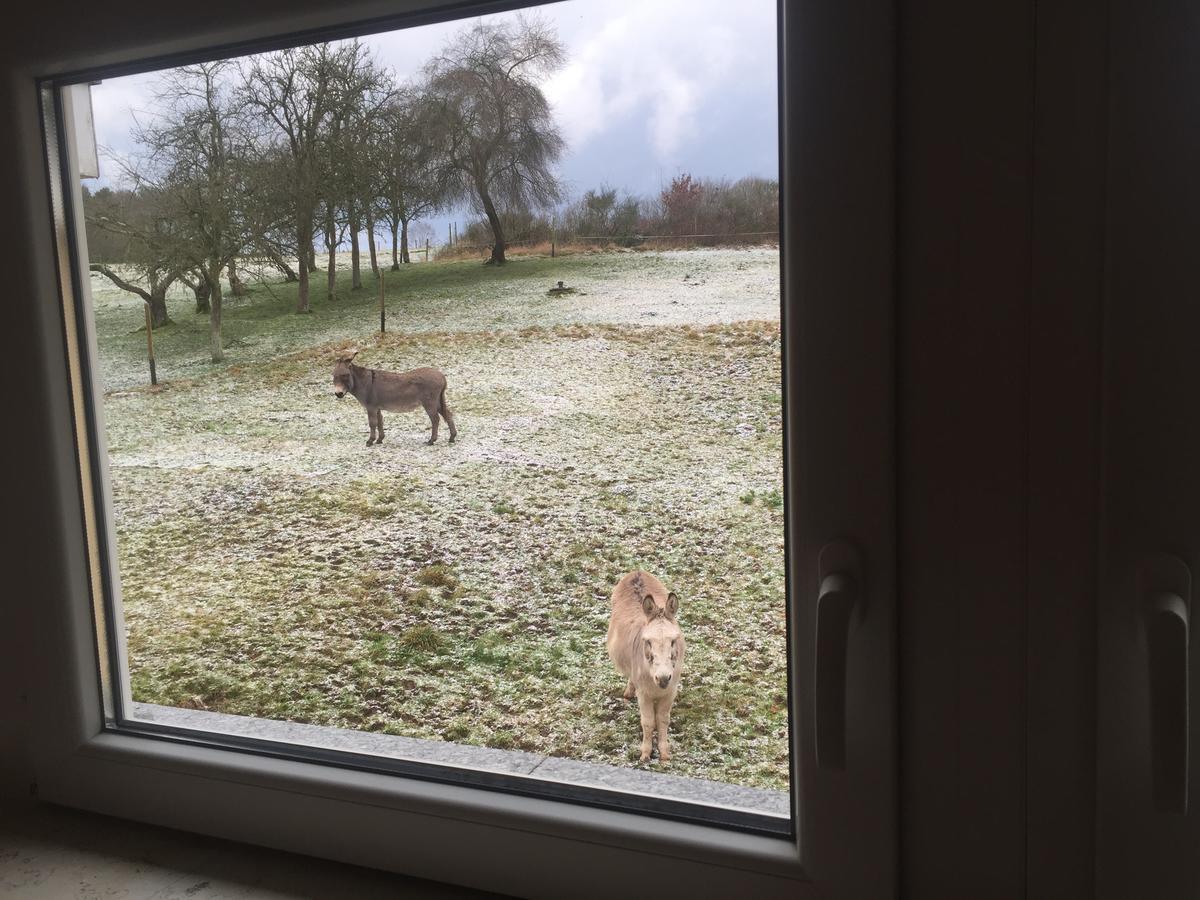 Hotel Am Rossberg Altenahr Eksteriør billede